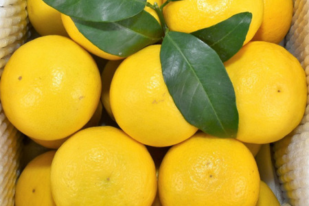 果物 オレンジ みかん ジュース 3種 セット 500ml 計3本 [善果園 長崎県 平戸市 hr42bgy420343]