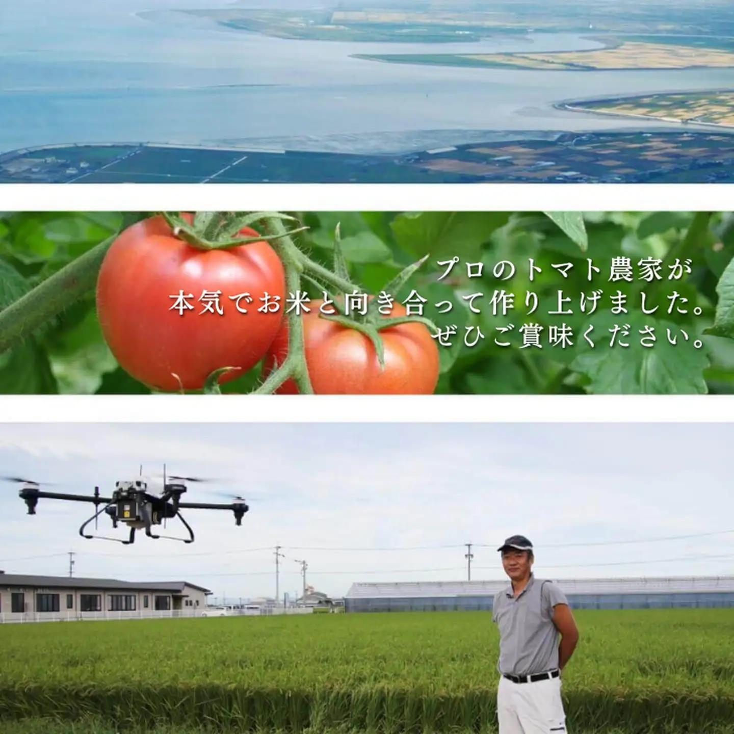 令和7年産 トマト酢を使って育てた「つや姫」 白米9kg：B365-008