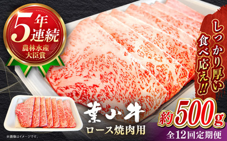【全12回定期便】【葉山牛】500g　ロース焼肉用／ 牛肉 黒毛和牛 神奈川県 特産品【葉山牛ステーキレストラン 角車】[ASBD056]