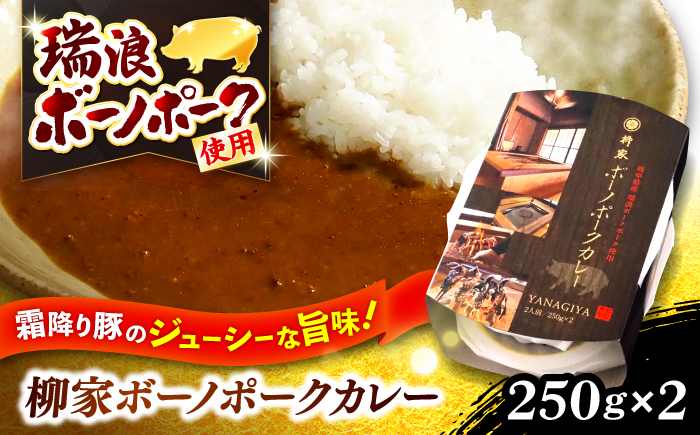 柳家 ボーノポークカレー 250g×2個 瑞浪市 / 陶ホープフル レトルト スパイス ギフト [AZBC001]