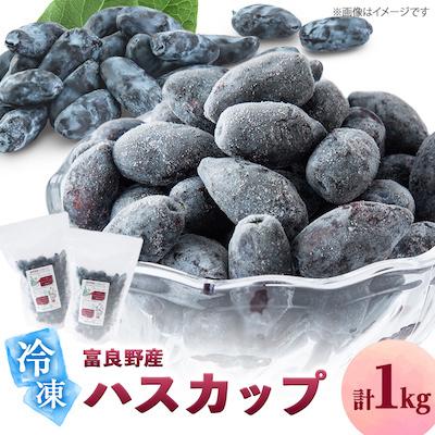 ふるさと納税 富良野市 2026年富良野産 冷凍ハスカップ 500g×2袋