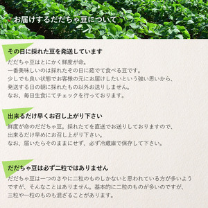 【令和8年産先行予約】 だだちゃ豆 品種おまかせ 1.5kg（500g×3袋） 山形県鶴岡市産 鶴岡中央青果　| 枝豆 えだまめ豆 豆 マメ 豆類 おつまみ つまみ 酒 ビール 1.5キロ 野菜 国産