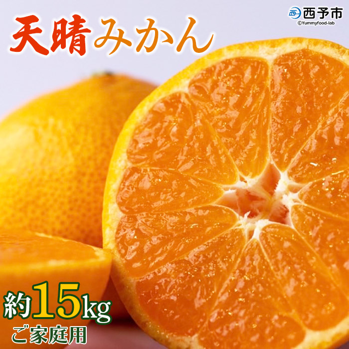 ＜愛媛県明浜産 天晴みかん（温州みかん）約15kg＞ 家庭用 訳あり ワケアリ 自宅用 果物 くだもの フルーツ ミカン 柑橘 特産品 産地直送 笑丸 愛媛県 西予市