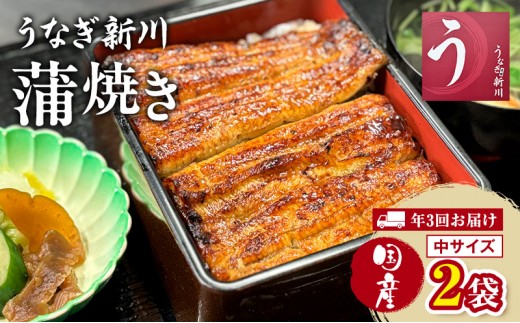 
                  うなぎ 定期便 3ヵ月 新川 蒲焼き 中サイズ 2袋 蒲焼 うなぎの蒲焼 国産 国産うなぎ 冷凍配送 定期 3回
                