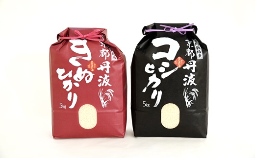 【12カ月定期便】 京丹波こしひかり きぬひかり 食べ比べセット 10kg×12カ月連続 合計120kg 令和7年産 京都 米 精米 コシヒカリ ※北海道・東北・沖縄・その他離島は配送不可 [216M