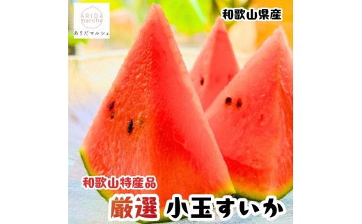 【先行予約】農家直送 厳選 小玉すいか Mサイズ/2玉入り ※2027年6月上旬～6月下旬頃に順次発送予定（お届け日指定不可）【ard176B】