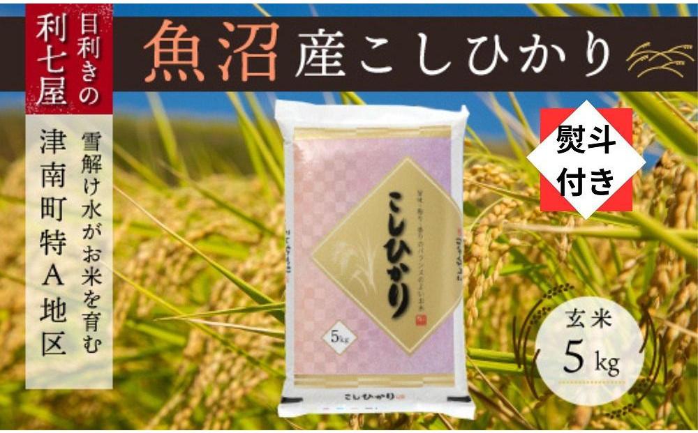 無地熨斗付き【令和8年産】【魚沼産コシヒカリ 玄米5kg】雪解け水がお米を育む、津南町特A地区の美味しいお米。127524-097