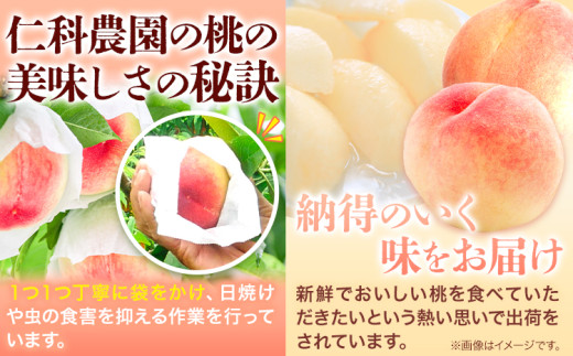 【先行予約】【7月中旬〜8月上旬頃出荷】桃 通常品種 2kg もも 岡山 白鳳 紅清水 よし姫 なつおとめ 川中島白桃 岡山県 笠岡市 送料無料 果物 フルーツ お取り寄せ