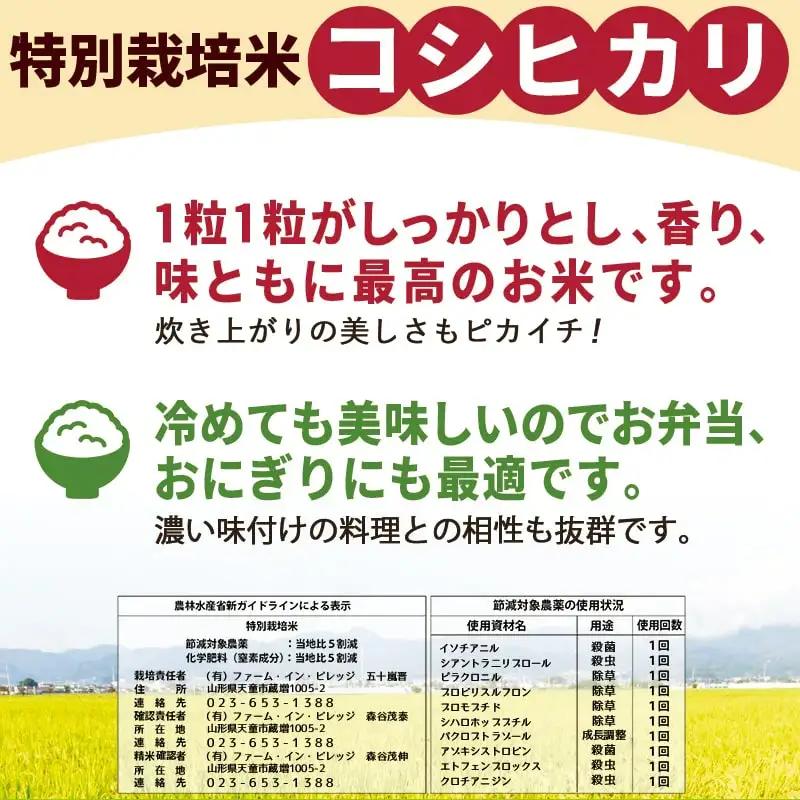 天童産 米 おすすめ 4種 セット 20kg [ 令和8年産 ] つや姫 雪若丸 はえぬき コシヒカリ