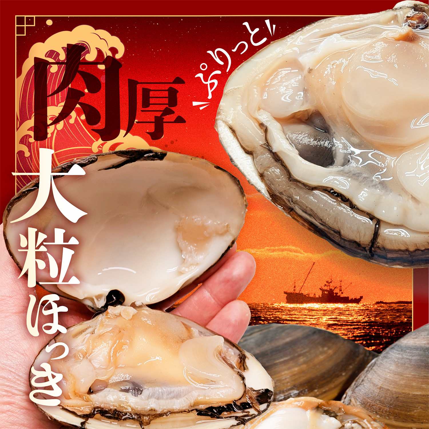 北海道 別海町産 活ホッキ 2.5kg【UY0000025】_イメージ3