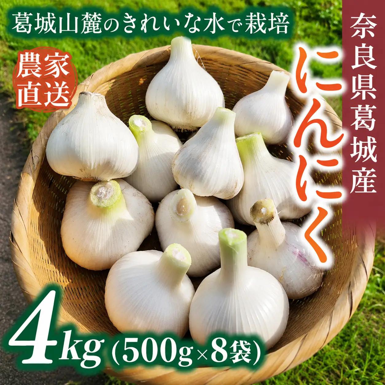 奈良県葛城産 にんにく 約4kg(500g×8袋)  【2026年5月上旬～7月下旬順次発送】 葛城市【smlk066】