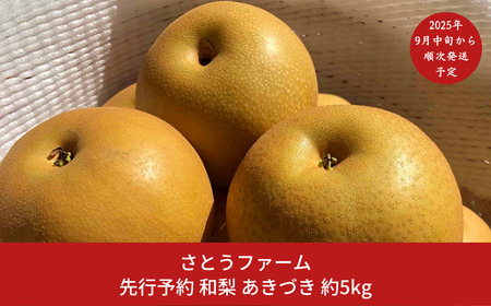 先行予約 和梨 あきづき 5kg [9月中旬から発送予定] 令和7年度 新潟県産 梨 [さとうファーム] 【014S011】