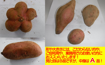 中園ファーム の 【訳あり】 完熟 安納いも 5ｋｇ　NFN401 【200pt】 