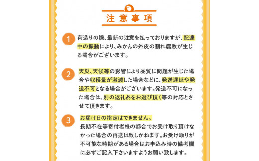 【早期予約】 文旦 秀品 5kg 2025年2月下旬～順次発送