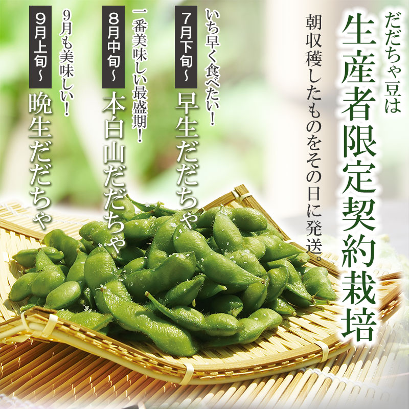 令和7年産　朝採りだだちゃ豆（早生）700gと小なす丸漬240g(120g×2)セット 早生
