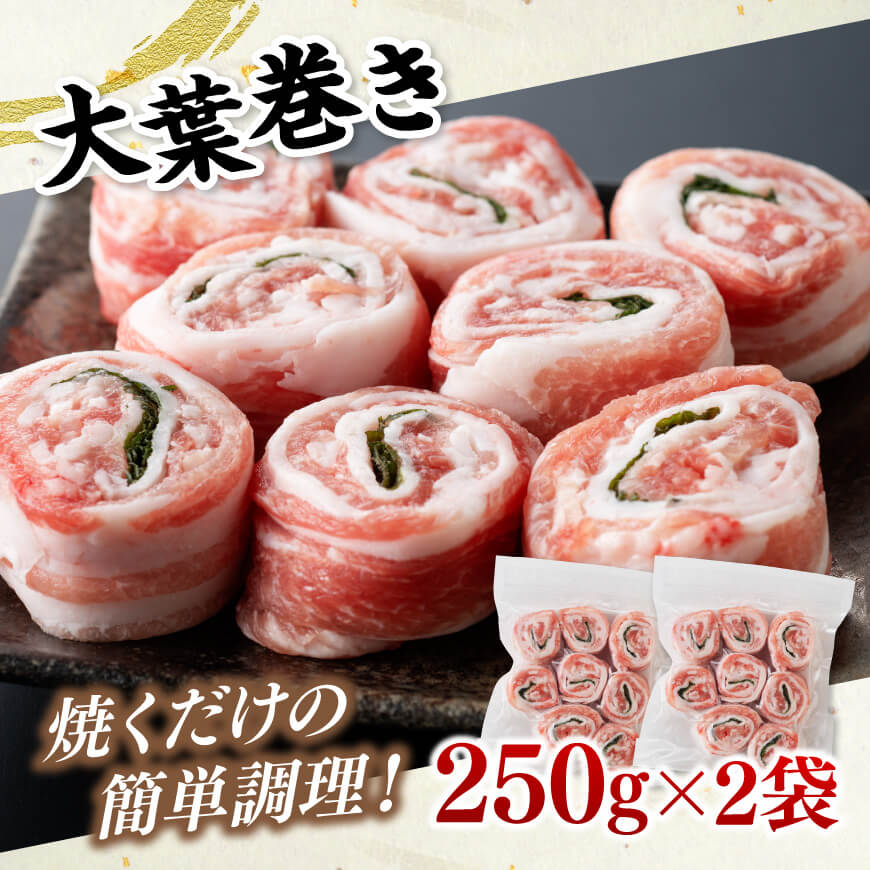 「まるみ豚」宮崎県産豚肉 時短セット【 豚肉 豚 肉 国産 川南町 時短 セット 宮崎県産 】