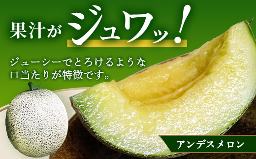 【2026年5月上旬発送開始】熊本県産 アンデスメロン 4〜5玉 約5kg 【 アンデス メロン フルーツ 果物 くだもの 熊本県 多良木町 】 083-0696