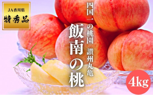 【2027年早期予約】 特秀品 桃 約4kg （目安:11玉～14玉)  讃州丸亀 飯南の桃 飯山 贈答箱 もも モモ 果物 くだもの 果実 フルーツ 旬 旬の果物 デザート スイーツ おやつ ゼリー