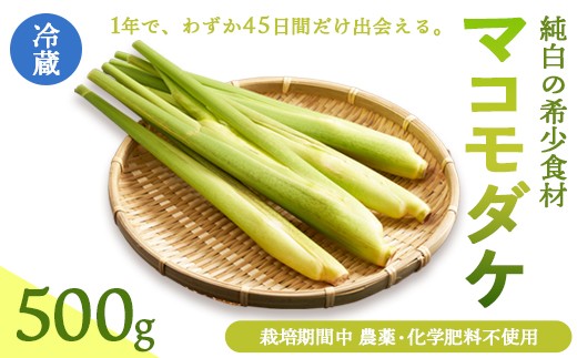 マコモダケ 500g / 野菜 農薬不使用 国産 綾部市 / しおさい楽園［BSAY001］