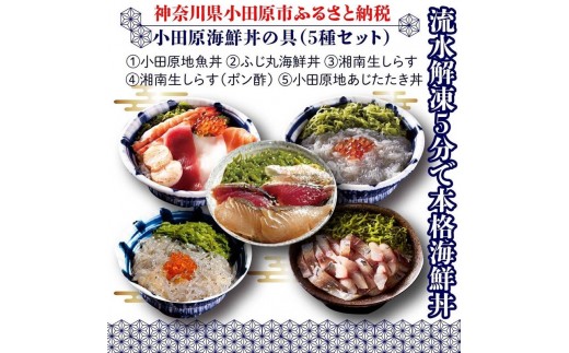 
                  小田原地魚海鮮丼の具（5種セット）｜魚介 地魚 海鮮丼 食べ比べ 人気 おすすめ 刺身 丼ぶり 冷凍 簡単調理 新鮮 小分け セット おすすめ 人気 送料無料 神奈川県 小田原市
                