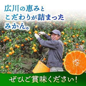 大好き みかん 5kg ご家庭用 サイズ混合 / 温州みかん 有田みかん 甘い 柑橘 和歌山 ※2026年11月中旬から2027年1月上旬に順次発送予定 【nkh004-c-5】