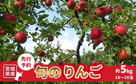 
                  【先行予約】★数量限定★旬のりんご 約5kg (18～20玉) | 林檎 リンゴ 完熟りんご 果物 くだもの 甘い 美味しい ジューシー 新鮮 完熟 香り 食感 旬 5kg 大玉 中玉 果実 フレッシュ フルーツ デザート ビタミン 食物繊維 おやつ 子供 国産フルーツ 旬の果物 コンポート 焼きりんご 壽丸果樹園 ふるさと納税 お取り寄せ 宮城県 白石市 白石【1510301】
                