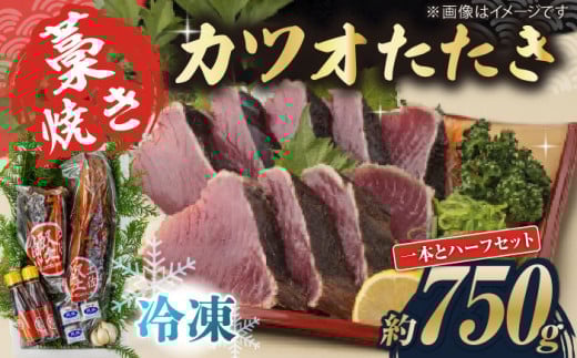 藁焼き　カツオのタタキ1節とハーフセット(冷凍)約750g 4.5～6人前【土佐黒潮水産】 [ATCQ016]