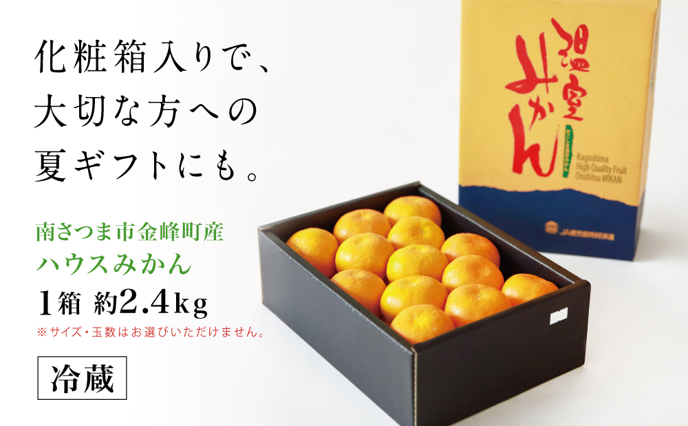 鹿児島県産 ハウスみかん 約2.4kg【 先行受付 ★7月～8月発送★】 化粧箱入り 先行予約 柑橘 みかん ミカン 蜜柑 ハウスミカン 温室 温州ミカン 温州みかん 旬 数量・期間 限定 国産 果実