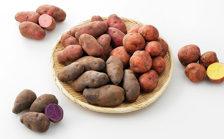 北海道産カラフルじゃがいも3種セット 計6kg 上士幌町加藤農場 詰め合わせ ◆2025年12月配送予定