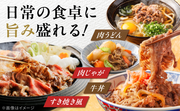 佐賀産和牛 切り落とし 1kg (500g×2P) 牛肉 A4 国産 黒毛和牛 小分け 吉野ヶ里町/石丸食肉産業[FBX001]