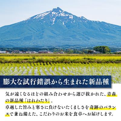 ふるさと納税 平川市 【令和8年産新米:10月上旬〜出荷開始】岩渕農園はれわたり(精米)【hi-0023-004】 |  | 01