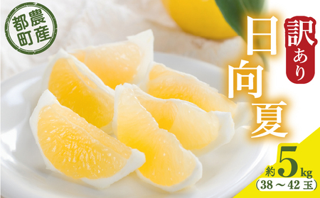 ≪先行予約≫都農町産「訳あり日向夏(約5kg)」 フルーツ 果物 柑橘 国産_T008-004