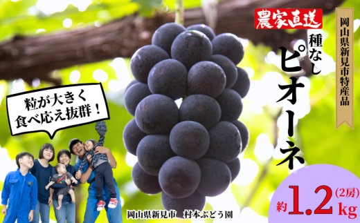 村本ぶどう園 ピオーネ 約1.2kg 2房 【先行予約 2026年9月中旬から順次発送】