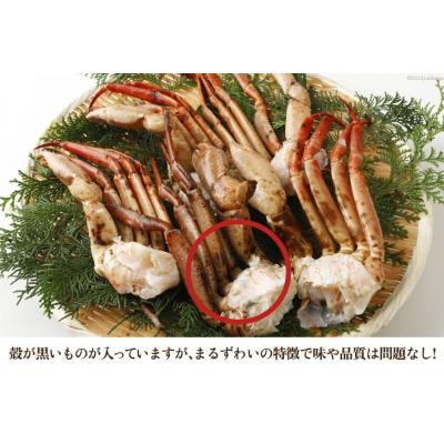 ふるさと納税 気仙沼市 まるずわいがに 肩脚肉 総重量1kg (3-5肩相当) 20564327 |  | 02