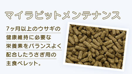 デイリープレミアム マイラビット 《メンテナンス》 810g × 2袋 うさぎ 小動物用フード ペットフード タンポポ オオバコ 桑の葉  乳酸菌配合 [BU038sa]