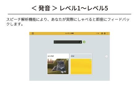 語学学習ツール ロゼッタストーン フランス語 カード版 | ﾊﾟｿｺﾝ ﾊﾟｿｺﾝｿﾌﾄ ﾊﾟｿｺﾝ ﾊﾟｿｺﾝｿﾌﾄ ﾊﾟｿｺﾝ ﾊﾟｿｺﾝｿﾌﾄ ﾊﾟｿｺﾝ ﾊﾟｿｺﾝｿﾌﾄ ﾊﾟｿｺﾝ ﾊﾟｿｺ
