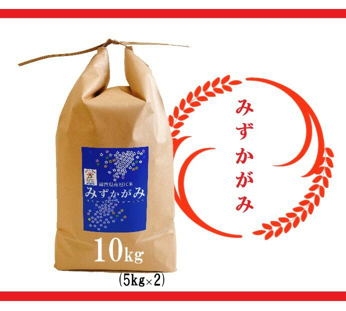 【ふるさと納税】【令和7年産 特別栽培 近江米『みずかがみ』10kg(5kg×2)】 米 近江米 みずかがみ ブランド米 滋賀県 竜王