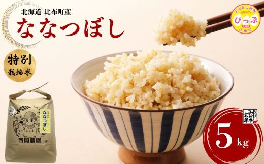 
                  【令和8年産 新米先行受付】 特別栽培米 ななつぼし みがき玄米 5kg【西間農園】 玄米 お米 米 北海道産 北海道米 特Aランク 国産 コメ JGAP認証農場 北海道 比布町 ぴっぷ 1005-031
                