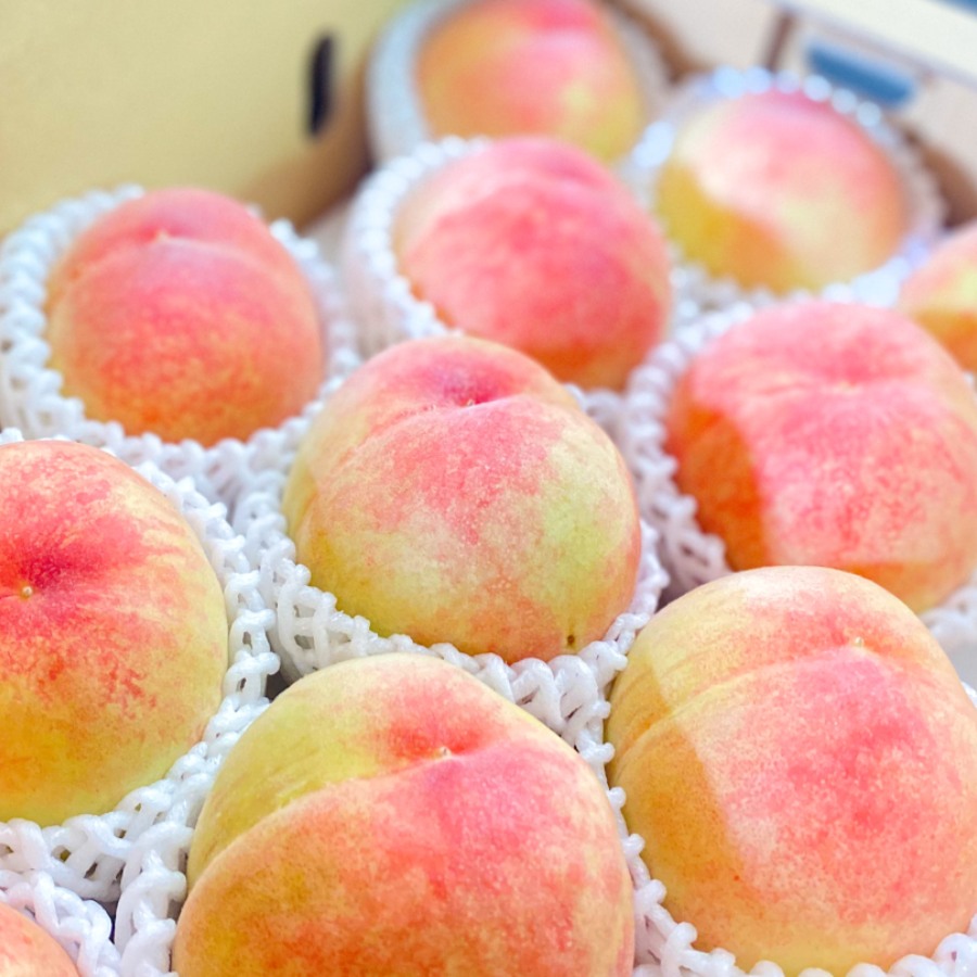 ＜吉田農園＞あら川の桃　白鳳　特秀２kg