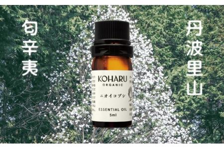 匂辛夷エッセンシャルオイル 5ml クロモジペンダント付 〈丹波市産〉 アロマ 精油