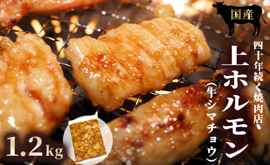 国産 上ホルモン 1.2kg | 国産 牛肉 シマチョウ 大腸 ホルモン モツ 冷凍 焼き肉 BBQ 本格 自家製タレ 韓国唐辛子 味噌ダレ 漬け肉 京都府舞鶴市