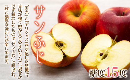 りんご 4.5kg 16～18玉 サンふじ りんご
