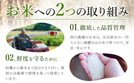 令和7年産 米 にこまる 約10kg (10kg×1袋) こめ コメ 玄米 西川農園《30日以内に出荷予定(土日祝除く)》 熊本県 荒尾市 米 玄米 こめ 