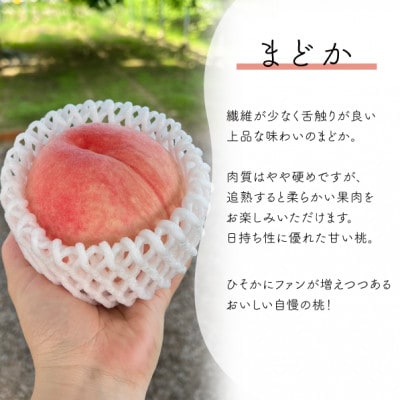 【きよとうファーム】上品な肉質 まどか 白桃 上級品 5-7玉入(岡山県産)【配送不可地域：離島】