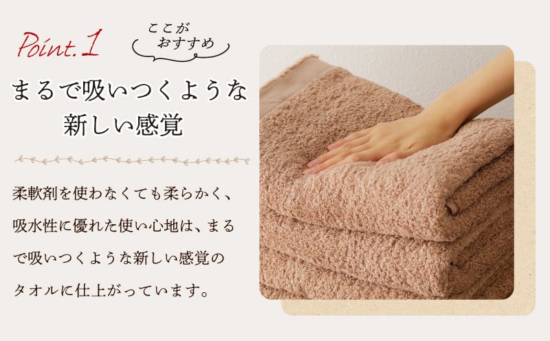 MAISON BLANC バスタオル テラコッタ 4枚【タオル 泉州タオル 単色 吸水 普段使い 無地 シンプル 日用品 ふわふわ ふかふか 家族 ファミリー】 G3293