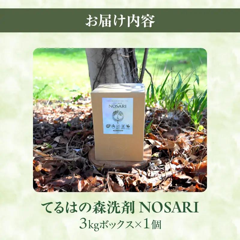 てるはの森洗剤NOSARI 3kg ボックス入り 洗剤 洗濯洗剤 日用品 南九州産 よもぎ蒸留水 柑橘精油 綾の名水 合成香料不使用 マイクロカプセル不使用 おすすめ 宮崎県 綾町 送料無料_A011