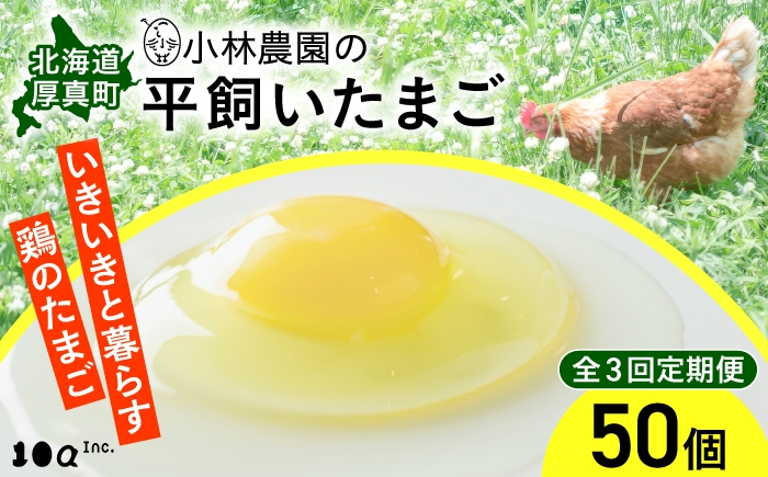 
                  【全3回定期便】小林農園の平飼いたまご・無投薬 50個《厚真町》【テンアール株式会社】 有精卵 卵 鶏卵 玉子 生卵 平飼い 北海道 定期便 [AXAN001]
                