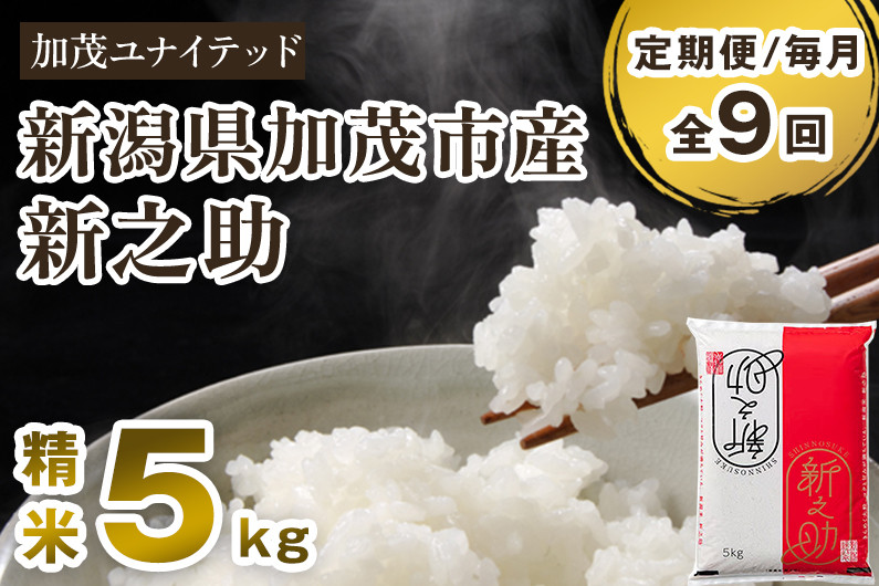 
            【令和6年産新米先行予約】【定期便9ヶ月毎月お届け】新潟県産 新之助 精米5kg 《5kg×1袋》 新潟 ブランド米 加茂市 加茂ユナイテッド
          