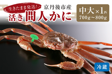 カニ 松葉ガニ／かに卸し問屋がお届け・浜競り厳選！幻の活間人ガニ 700ｇ～800ｇ 中大サイズ（1月～3月発送）／北畿水産 蟹 カニ かに 松葉蟹 松葉ガニ 松葉かに 間人蟹 間人カニ ブランド蟹 活きガニ 活き蟹 活き 活 タグ付き 