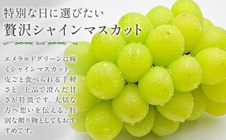 シャインマスカット 箱入り 2房 1房500g～600g 中嶋ぶどう園《9月上旬-10月下旬頃出荷》